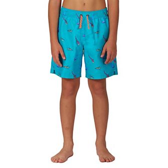 Boys 4-20 ZeroXposur Boardwalk Shorties Swim Trunks