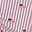 Flag Stripe