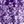 Plum Burst Floral