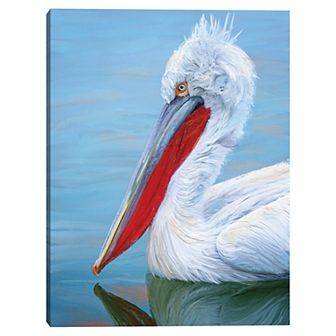 Masterpiece Pelican Profile I by Studio Arts Canvas Wall Art