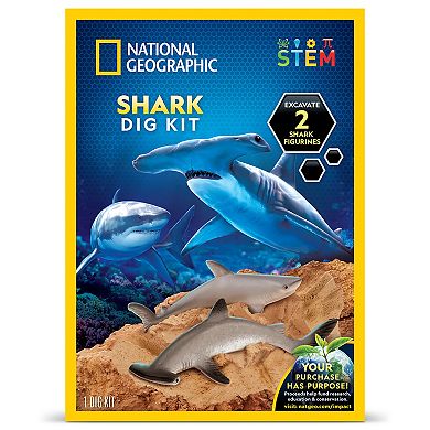 National Geographic Shark Dig Kit