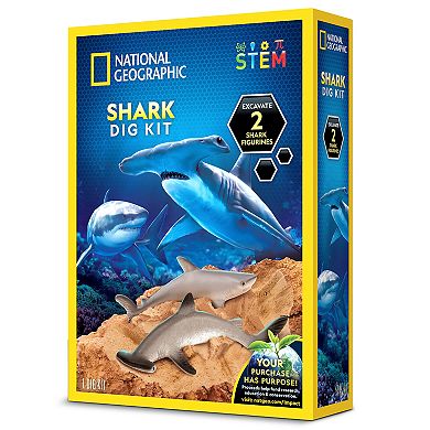 National Geographic Shark Dig Kit