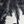 Black Palm Tree