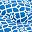 Coastal Lattice Navy