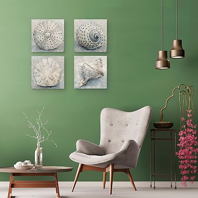 Masterpiece Artisan Shell I - IV by Studio Arts Canvas Wall Art