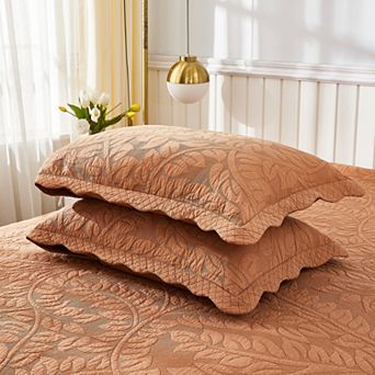Marcielo 2 pc Embroidered Cotton Pillow Shams