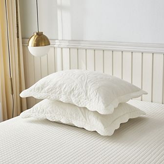 Marcielo 2 pc Embroidered Cotton Pillow Shams
