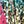 Gradient Color