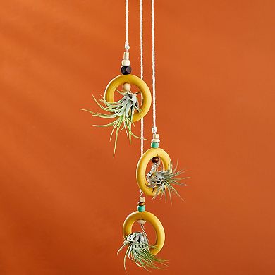 20 Pack Unfinished Natural Wooden Rings For Macrame, Diy Crafts, 2.1 In