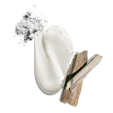 Big Sir Body & Hair Cleanser