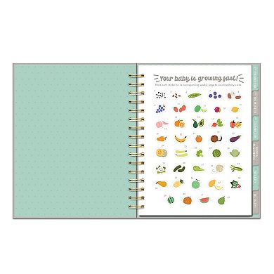 Studio Oh! Countdown To Pregnancy Planner & Journal