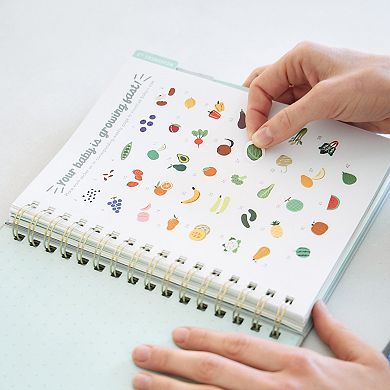 Studio Oh! Countdown To Pregnancy Planner & Journal