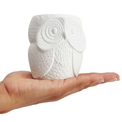 Set Of 4 Diy Paint Your Own Ceramic Succulent Planters, 4 Owl Designs, 3x3x4 In