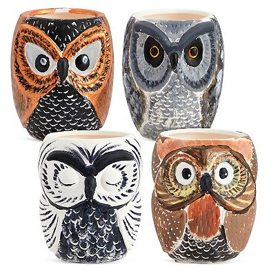 Set Of 4 Diy Paint Your Own Ceramic Succulent Planters, 4 Owl Designs, 3x3x4 In