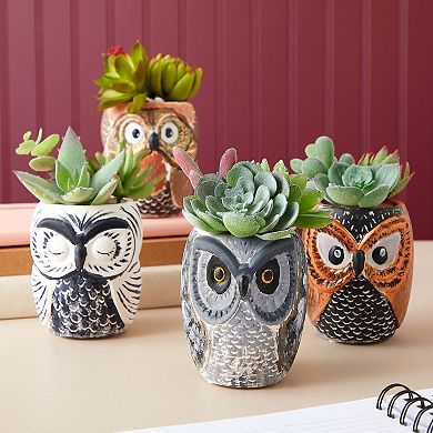Set Of 4 Diy Paint Your Own Ceramic Succulent Planters, 4 Owl Designs, 3x3x4 In