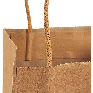 12 Pack Small Gift Bags With Handles For Party Favors, Goodies, 5.3 X 3 X 8.5"