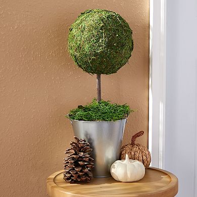 2 Pack Half Sphere Foam Balls for Crafts - 7.8" Large Hollow Dome for Crafts