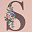 Pink Letter S