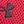 Red Cardinal Black