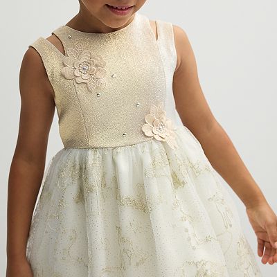Girls 4-6x Blueberi Boulevard 4-6X 3D Flower Dress
