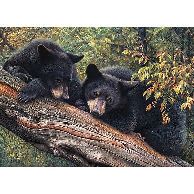 Outset Media Cobble Hill 1000 Piece Puzzle: Bear Mom's Awaiting
