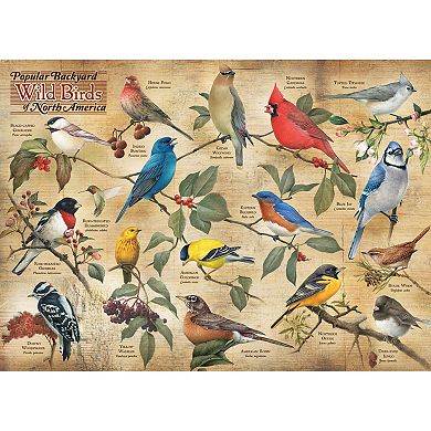 Cobble Hill 1000 Piece Puzzle: Popular Backyard Wild Birds of North America