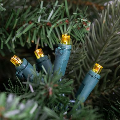 Northlight LED Wide Angle Yellow Christmas Lights with 33' Green Wire