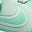 Arctic Green
