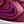 Sweet Beet Purple