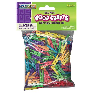 Dixon Creativity Street 250-Piece Multicolor Mini Spring Clothespins 2-Pack
