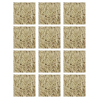 Dixon 12-Pack Creativity Street Mini Craft Sticks Set