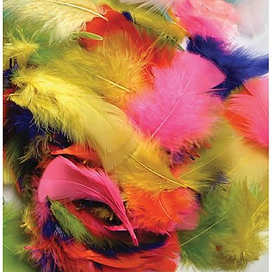 Dixon 12-Pack Creativity Street Assorted Feathers