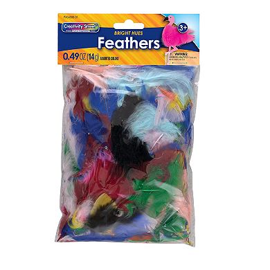 Dixon 12-Pack Creativity Street Assorted Feathers