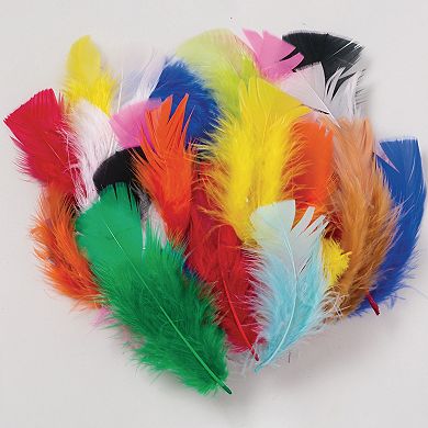 Dixon 6-Bags Creativity Street Assorted Feathers