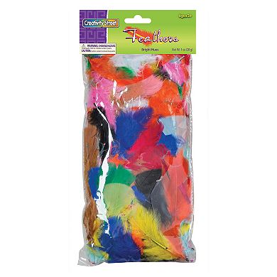Dixon 6-Bags Creativity Street Assorted Feathers
