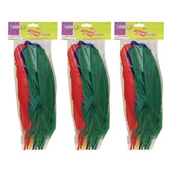 Dixon 3-Pack Creativity Street Assorted Quill Feathers