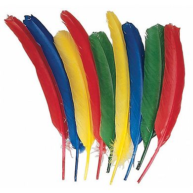 Dixon 3-Pack Creativity Street Assorted Quill Feathers