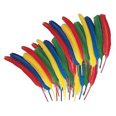 Dixon 3-Pack Creativity Street Assorted Quill Feathers