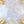 Created Opal