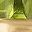 Peridot
