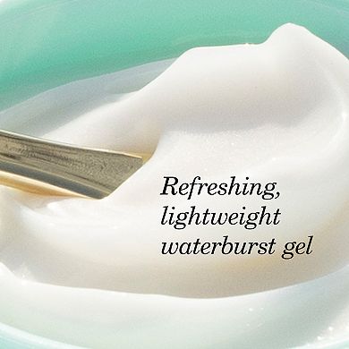 The Water Cream Oil-Free Pore Minimizing Refillable Moisturizer