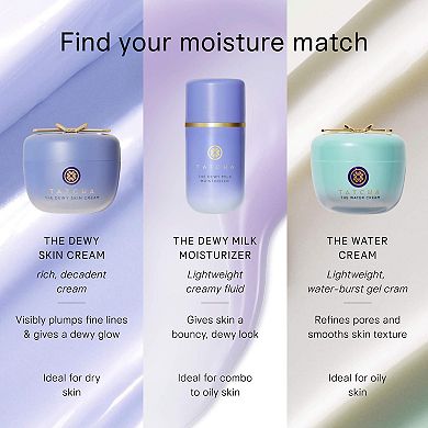 The Dewy Skin Cream Plumping & Hydrating Refillable Moisturizer