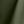 Army Bottle