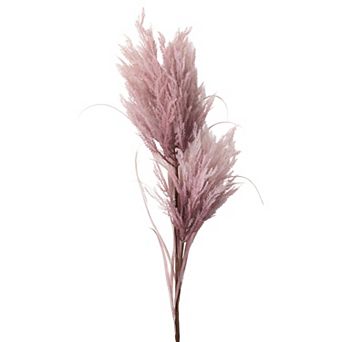 Sullivan's Artificial Dried Purple Reed Stem