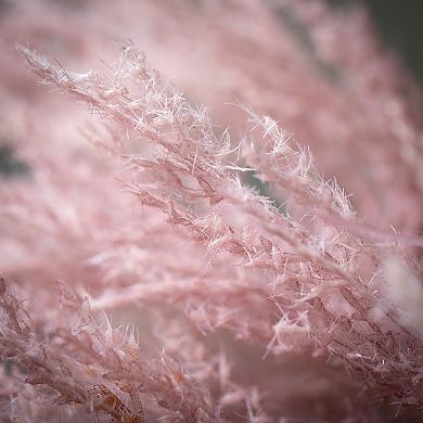 Sullivan's Artificial Dried Purple Reed Stem