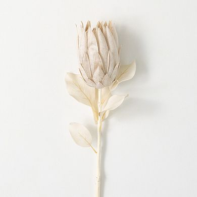 Sullivan's Artificial Natural Pale Cream Protea