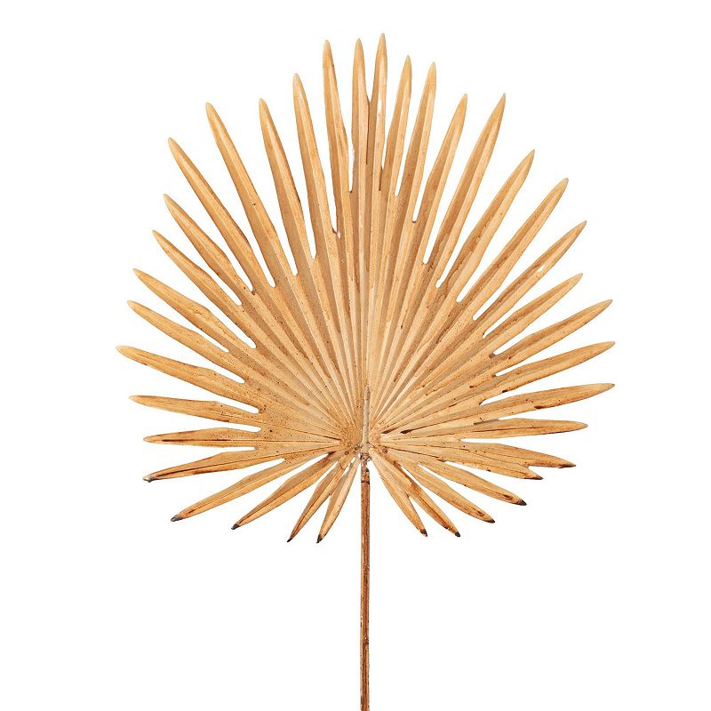 36 H Sullivans Beige Fan Palm Leaf  Brown