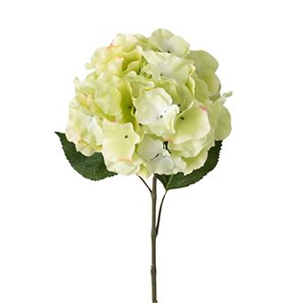 Sullivan's Artificial Cottage Green Hydrangea Bloom
