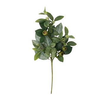 Sullivan's Israeli Ruscus Pick Artificial Plant Decor
