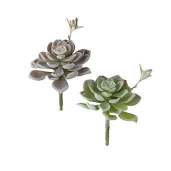 Sullivan's Houseleek Succulent Pick Artificial Plant Decor 2 pc Set